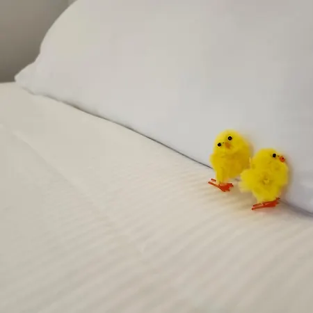 Casa de hóspedes Dimora In Prato